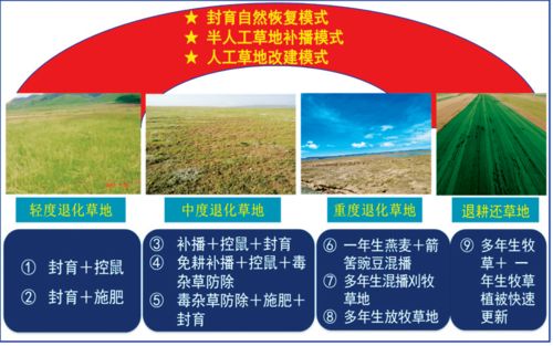 西北內(nèi)陸區(qū)極端環(huán)境生態(tài)系統(tǒng)修復理論與技術(shù)成果推介